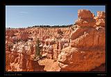 Bryce Canyon 11